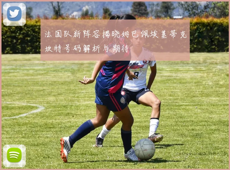 法国队新阵容揭晓姆巴佩埃基蒂克坎特号码解析与期待