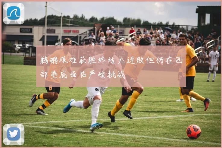 鹈鹕艰难获胜终结九连败但仍在西部垫底面临严峻挑战